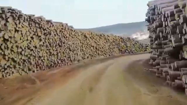 Куда уходит наш лес? смотреть онлайн