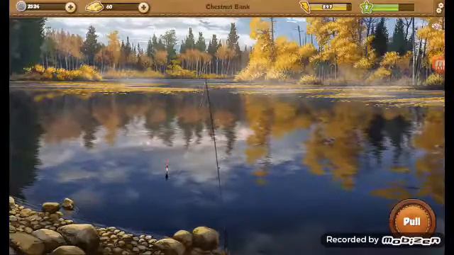 Fishing world/nov serial смотреть онлайн