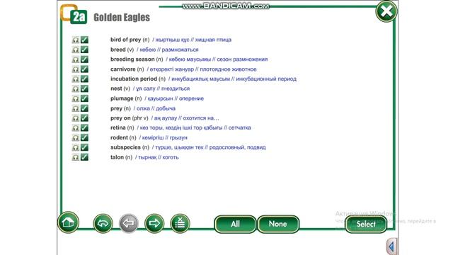 Action11 module2 p22 vocabulary смотреть онлайн