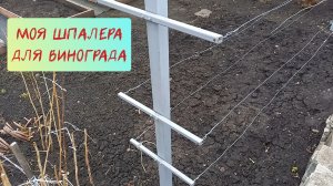 Моя шпалера для винограда.