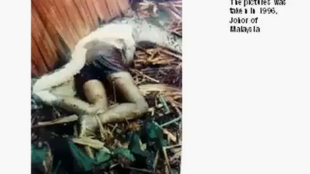 python eat man смотреть онлайн