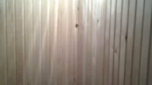 Баня своими руками. Внутренняя отделка. Материалы, процесс строительства и результат.