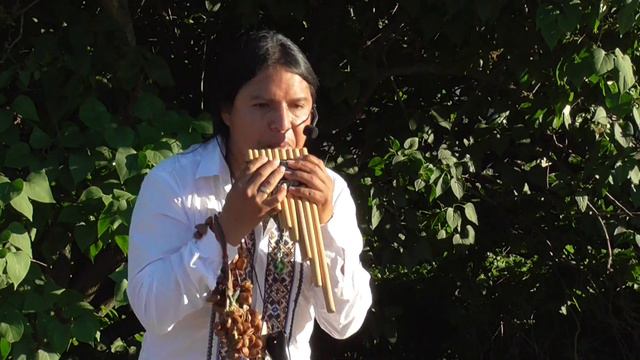 La vida. Индеец из Эквадора Inty «Pakarina». смотреть онлайн