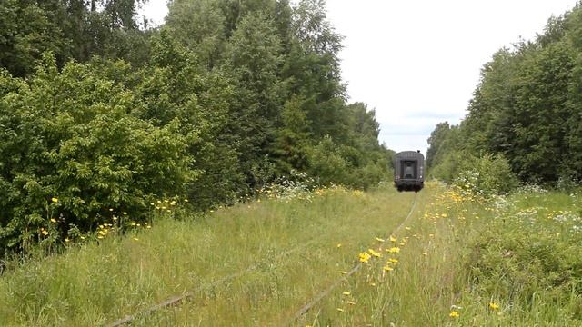 Ковёр из цветов, старый мост и ДМ62 1742 с пригородным поездом Сонково - Весьегонск. смотреть онлайн