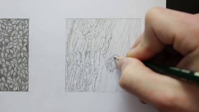 How To DRAW Realistic TEXTURES using PENCILS! - Grass, Leaves & Tree Bark смотреть онлайн