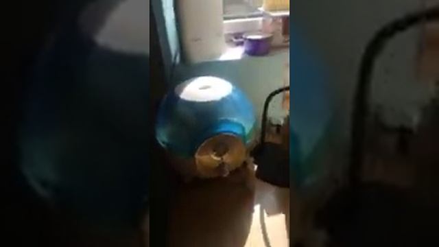 Промышленное мотководство смотреть онлайн
