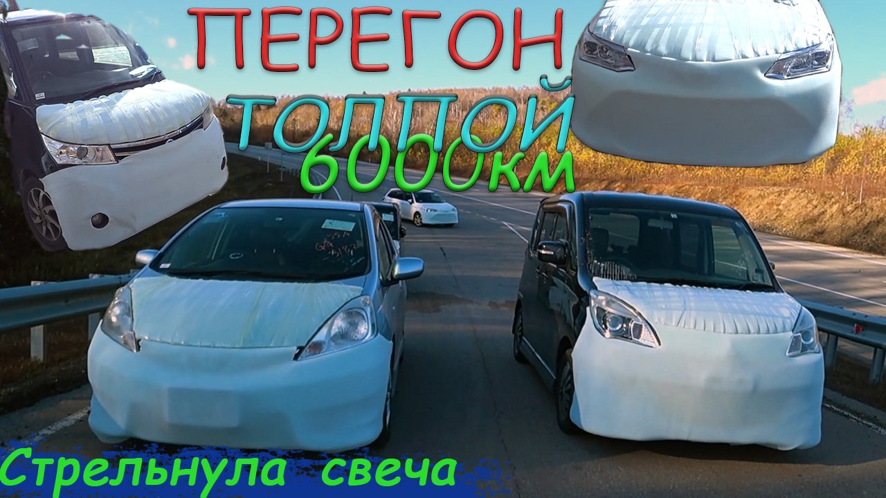 Перегон 6000км толпой / Fit Shuttle, Fielder, Roox, Delica D2 / Фазан смертник / Поломка авто / 5в1