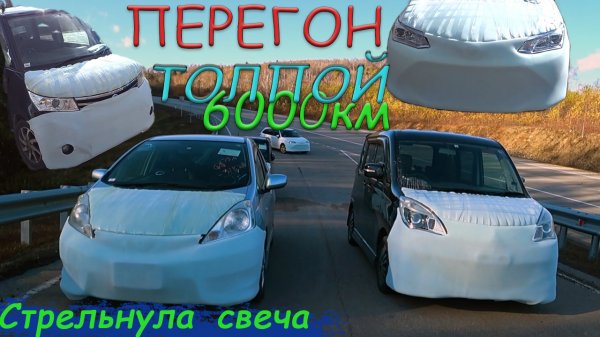 Перегон 6000км толпой / Fit shuttle, Fielder, Roox, Delica D2 / Фазан смертник / Поломка авто / 5в1