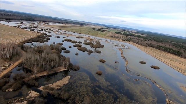 Западная Березина. Новосельцы - Буни. Разливы. Март 2023. Western Berezina. New settlers - Buni. смотреть онлайн