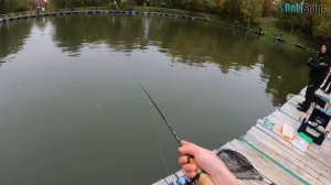 Ловля ФОРЕЛИ на спиннинг. БЕЗЛИМИТ КАНЬОН Рыбалка с #OnlySpin