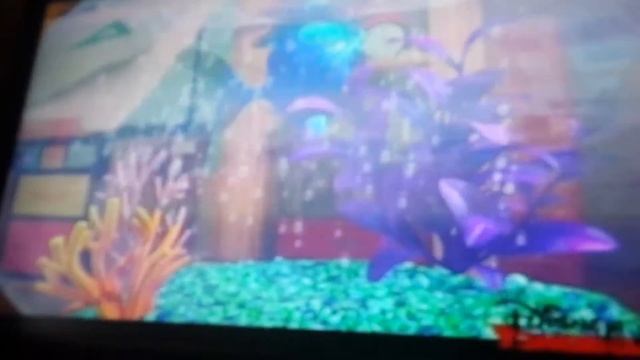 Дружные мопсы! смотреть онлайн