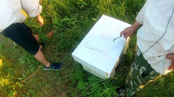 Отводки на одну рамку расплода. Первое расширение. Контроль облёта матки.