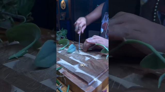 Propagating Plants - the cut up! смотреть онлайн