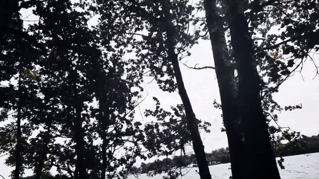 VID 20230920 205452 DE AEGYTO (Эзра Паунд)...Павел Васильев Лахтинский смотреть онлайн