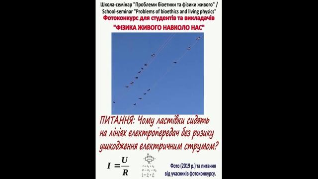 Фотоконкурс -физика живого и биоэтика вокруг нас смотреть онлайн