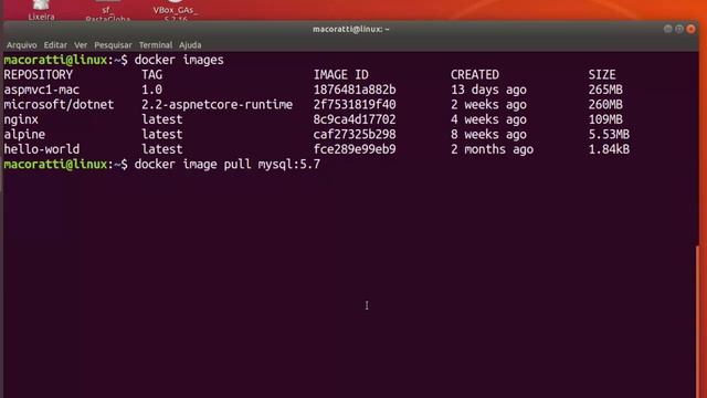 Minicurso Docker - Apresentando Volumes - II смотреть онлайн