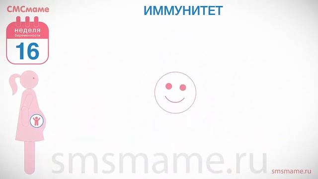 16 неделя беременности - иммунитет беременной женщины, дополнительные обследования. смотреть онлайн