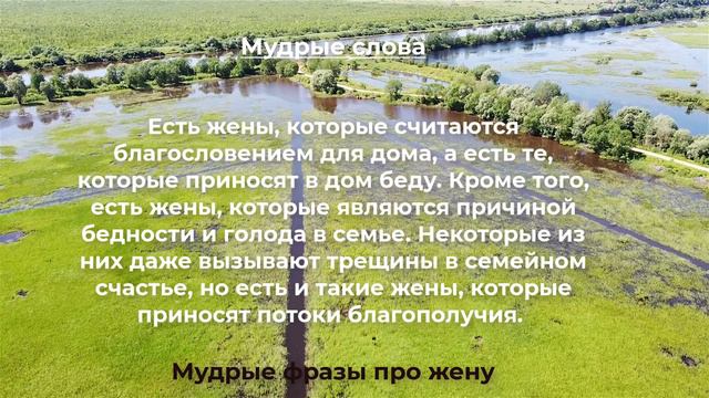 Гениальные Фразы Про ЖЕНУ, Которые ПОМОГУТ. Высказывания Про Жену Со Смыслом смотреть онлайн