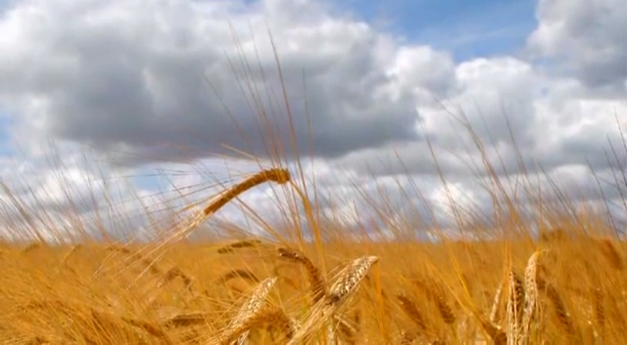 Dead Can Dance - The Wind That Shakes The Barley смотреть онлайн