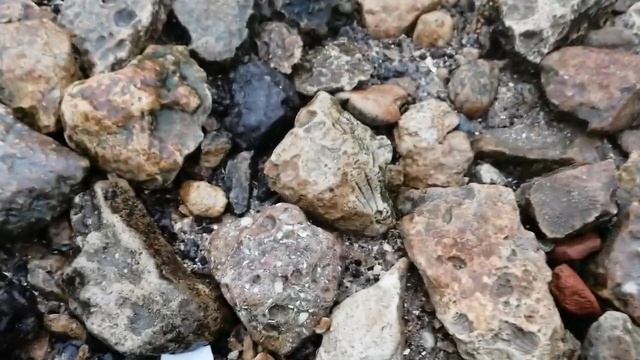 Интересные находки на берегу Азовского моря. смотреть онлайн