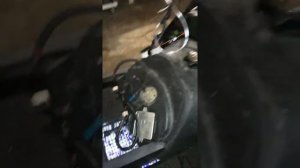 Датчик скорости на тайгу с к6а двигателям