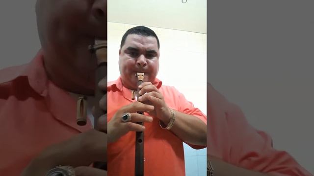 ПРО ДУДУК! Живое исполнения на Дудуке разных строев смотреть онлайн