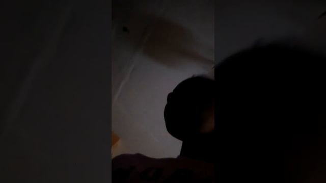 How fast can you spin the fidget spinner смотреть онлайн