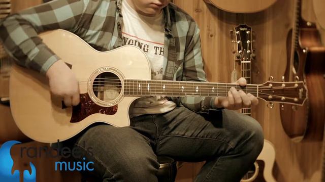 Taylor 814ce Brazilian Rosewood Limited Edition