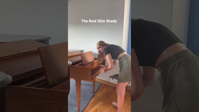 #eminem #harpsichord смотреть онлайн