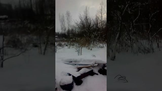 Колодное пчеловодство.Средне-русская пчела. Изготовление колоды.Часть 1.