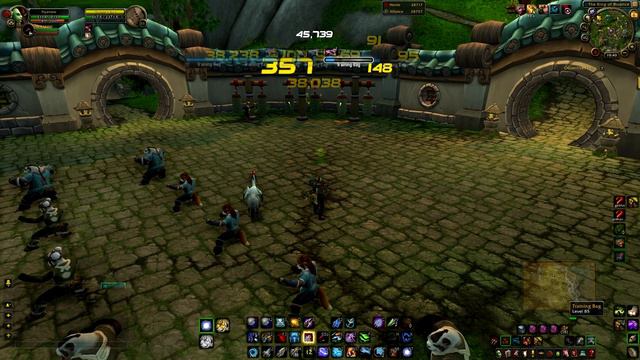 5.4 PvP AddOns and UI Tips/Guide смотреть онлайн