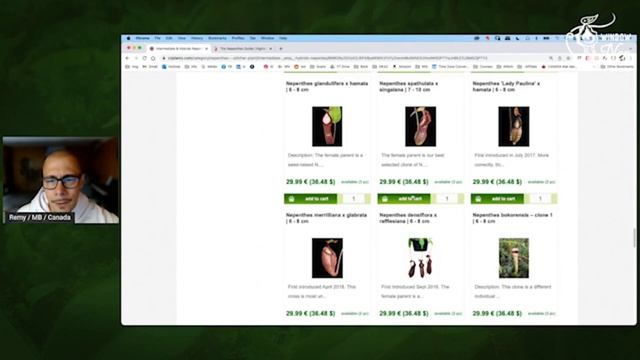 ? CZPlants Website ? What Nepenthes For A Windowsill? смотреть онлайн