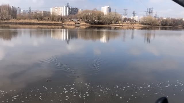 ВЕСЕННИЙ ФИДЕР ПО Высокой ВОДЕ/ Рыбалка в СЛОЖНЫХ УСЛОВИЯХ смотреть онлайн