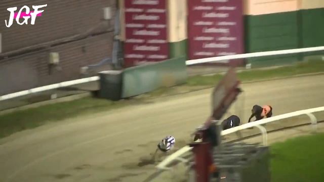 Greyhound - Hurdle racing - 3 races смотреть онлайн