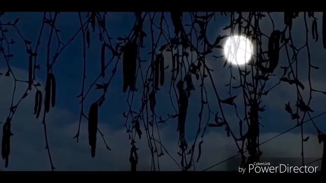 МЕРТВАЯ БАБКА. СТРАШНАЯ ИСТОРИЯ смотреть онлайн