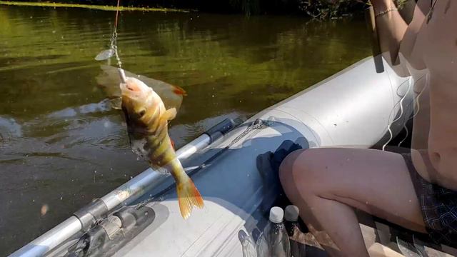 ВОТ ЭТО СПЛАВ! Рыбалка на спиннинг. Щука, окунь, голавль смотреть онлайн