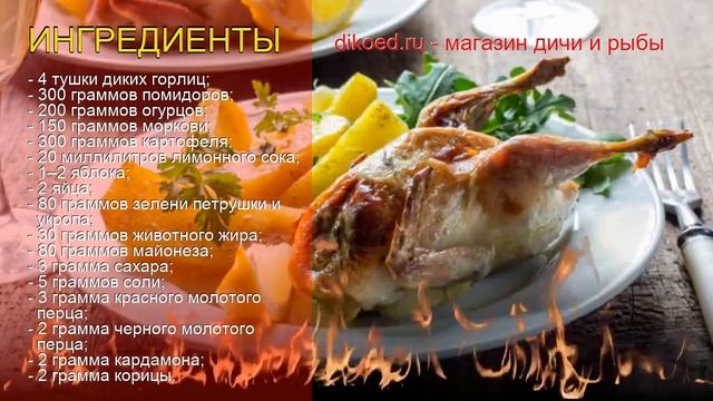 Путешествие с Дикой Природой