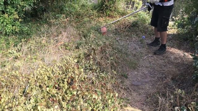 Clearing with the Brushcutter - 2018-04 смотреть онлайн