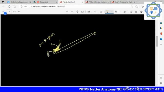 Netter Anatomy Class - 1 Topic - Abdomen 1 смотреть онлайн