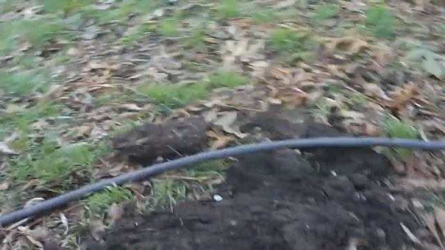 Обустройство комнаты, конструирование бюджетной водогрейки, стиральный эко-порошок из каштанов смотреть онлайн