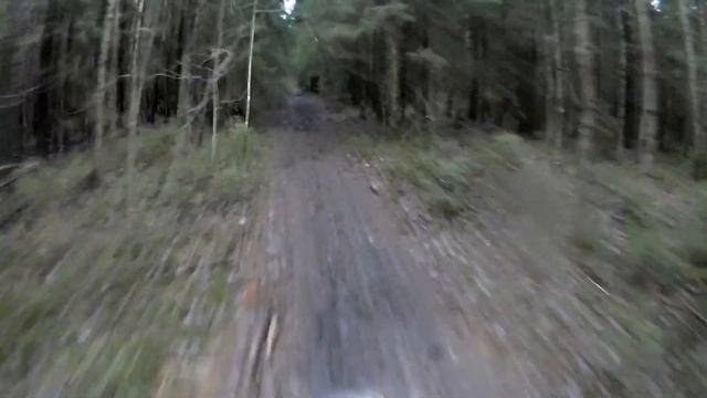 полесу на kayo k1 смотреть онлайн
