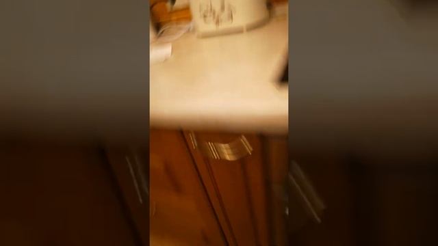 Чем нельзя кормить хомяка смотреть онлайн