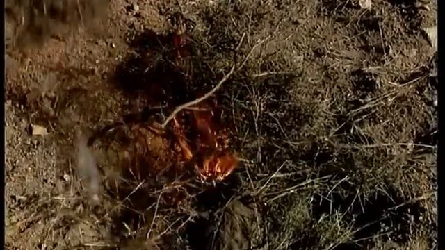 El ACEITE DE ENEBRO. Extracción Tradicional Con Cántaro | Oficios Perdidos | Documental