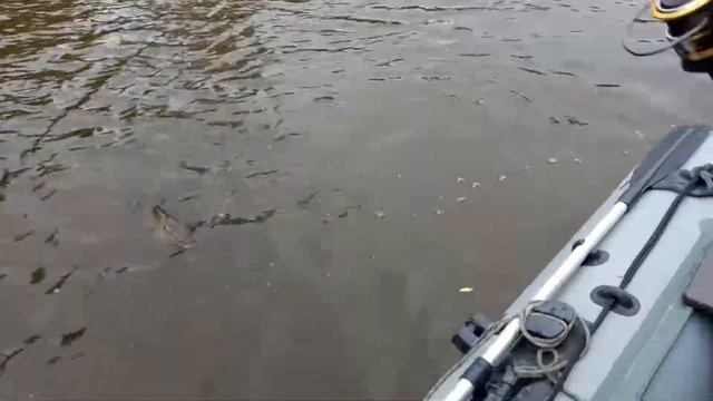 Рыбалка на Иртыше осенью 2018 смотреть онлайн