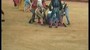 Самое шокирующее. Кровавая Коррида