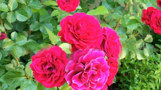 Одесса 2010 14 июня фото Ebatul_Belladonna смотреть онлайн