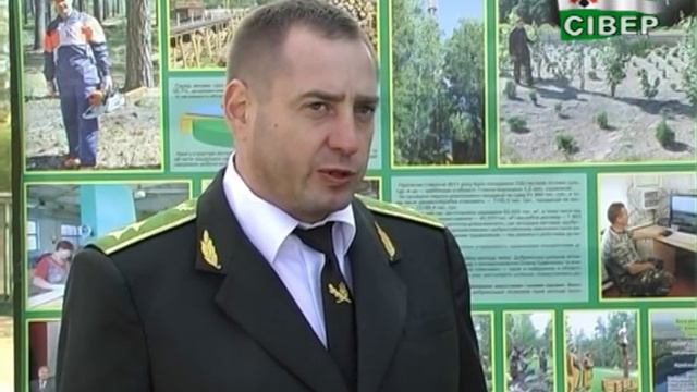 Можливо, для когось число 13 і справді нещасливе, але тільки не для наших лісівників смотреть онлайн