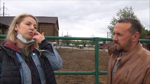 О сносе конюшни «Сосновый бор» смотреть онлайн