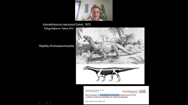 Conférence Pr NE Jalil "Les vertébrés fossiles du Bassin d’Argana Maroc" ATTARIK 060620 смотреть онлайн