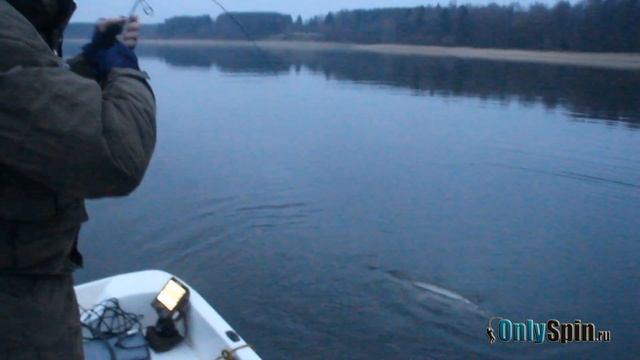Трофейная щука Подмосковья Ловля на спиннинг смотреть онлайн
